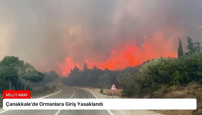 Çanakkale’de Ormanlara Giriş Yasaklandı