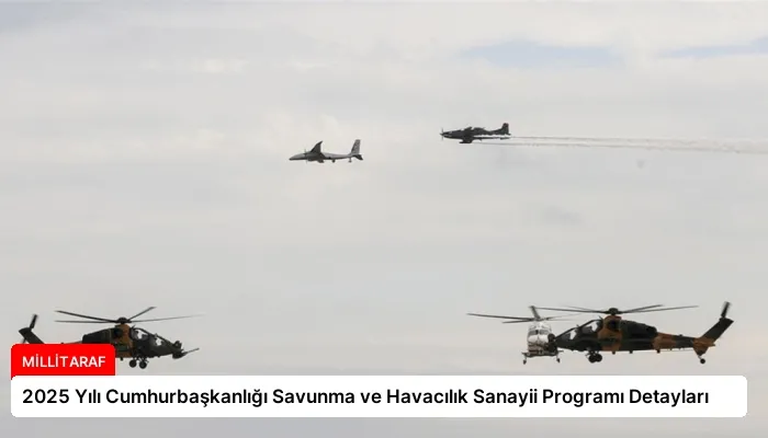 2025 Yılı Cumhurbaşkanlığı Savunma ve Havacılık Sanayii Programı Detayları