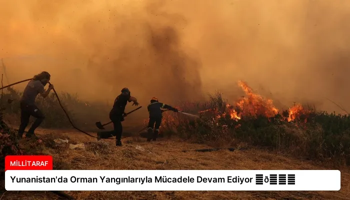 Yunanistan’da Orman Yangınlarıyla Mücadele Devam Ediyor ⏬👇