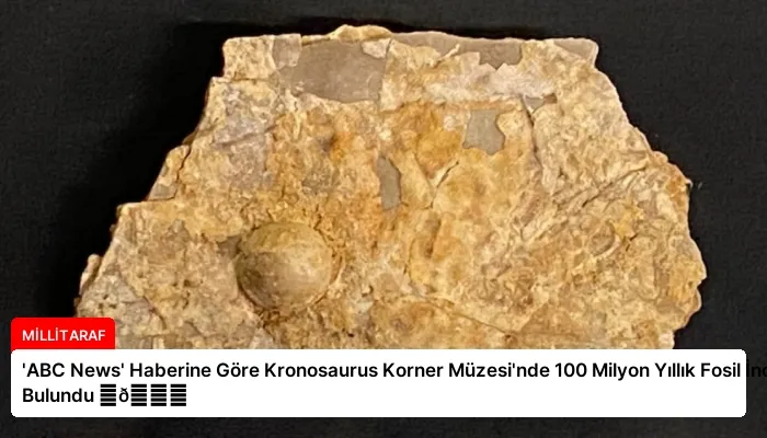 ‘ABC News’ Haberine Göre Kronosaurus Korner Müzesi’nde 100 Milyon Yıllık Fosil İnci Bulundu ⏬👇