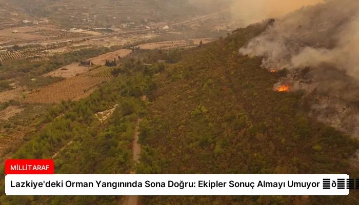 Lazkiye’deki Orman Yangınında Sona Doğru: Ekipler Sonuç Almayı Umuyor ⏬👇