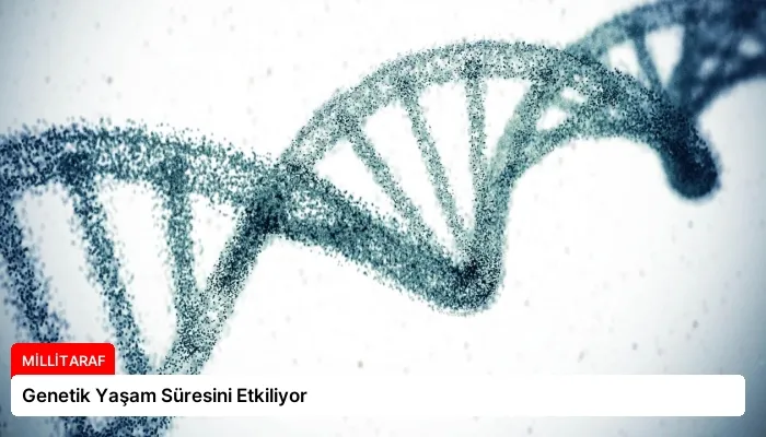 Genetik Yaşam Süresini Etkiliyor