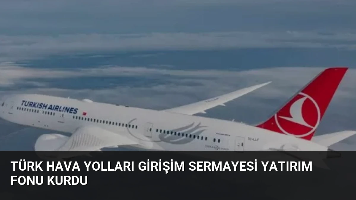 Türk Hava Yolları Girişim Sermayesi Yatırım Fonu Kurdu