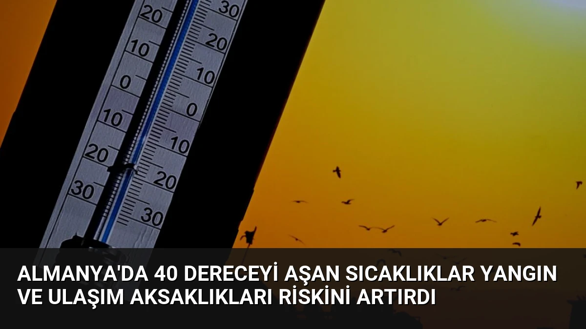Almanya’da 40 Dereceyi Aşan Sıcaklıklar Yangın ve Ulaşım Aksaklıkları Riskini Artırdı