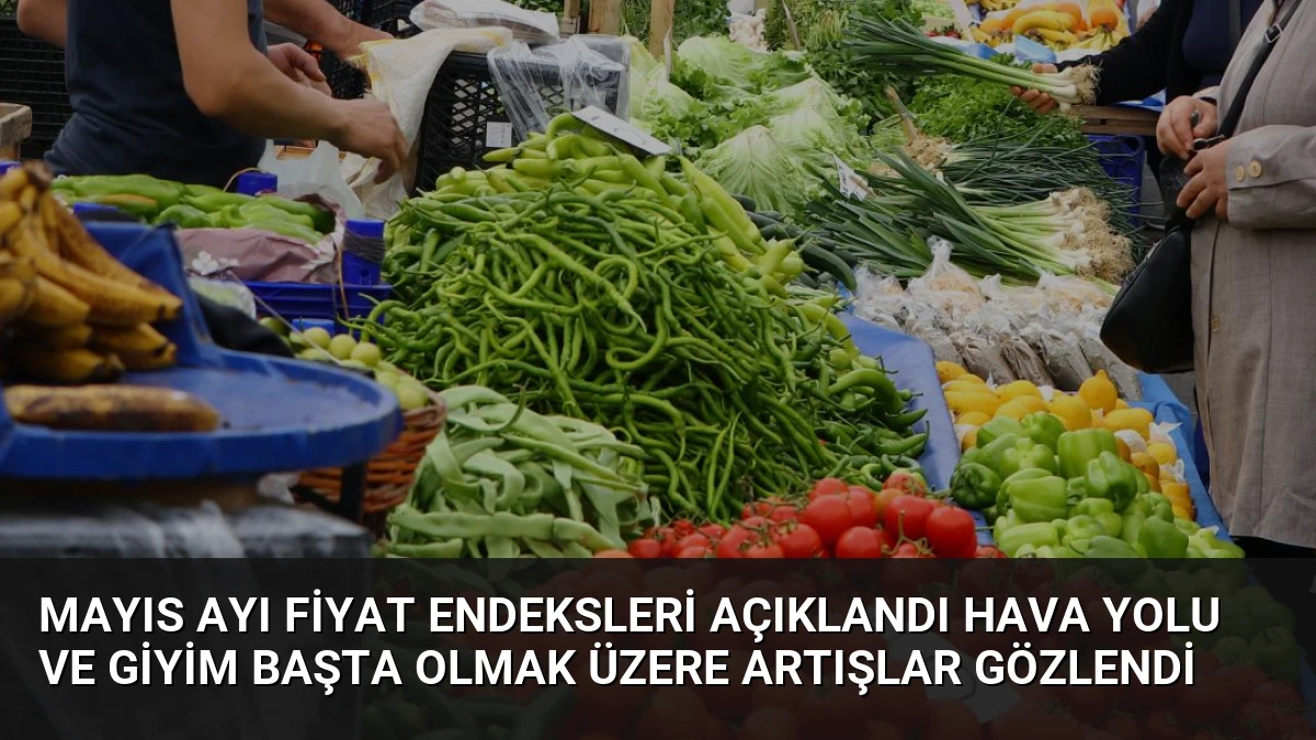 Mayıs Ayı Fiyat Endeksleri Açıklandı Hava Yolu ve Giyim Başta Olmak Üzere Artışlar Gözlendi