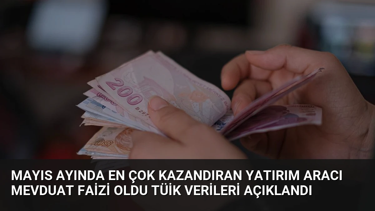 Mayıs Ayında En Çok Kazandıran Yatırım Aracı Mevduat Faizi Oldu TÜİK Verileri Açıklandı