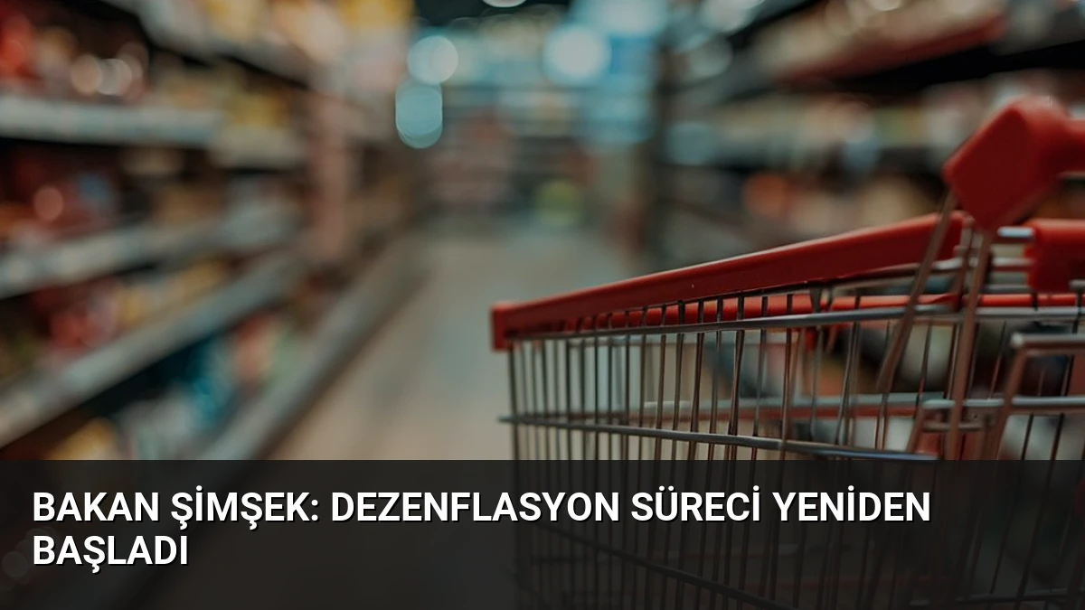 Bakan Şimşek: Dezenflasyon Süreci Yeniden Başladı