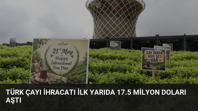 Türk Çayı İhracatı İlk Yarıda 17.5 Milyon Doları Aştı