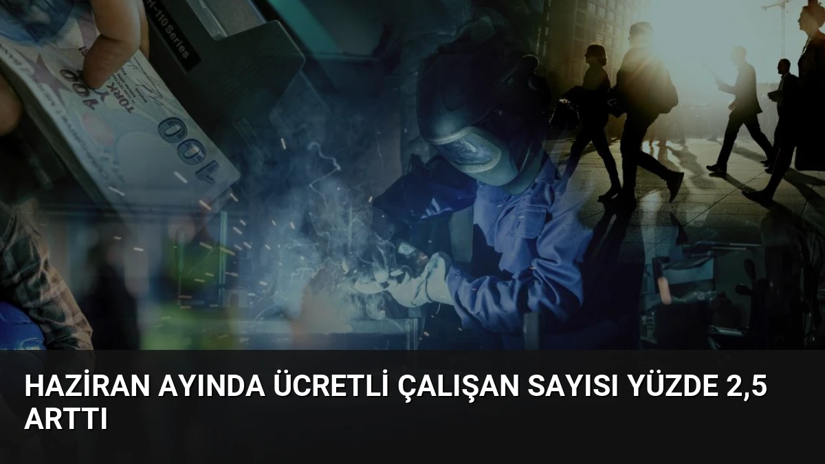 Haziran Ayında Ücretli Çalışan Sayısı Yüzde 2,5 Arttı