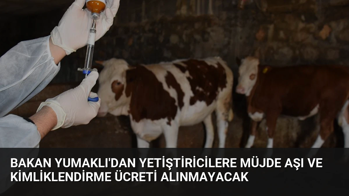 Bakan Yumaklı’dan Yetiştiricilere Müjde Aşı ve Kimliklendirme Ücreti Alınmayacak