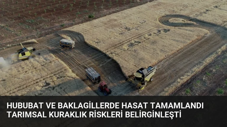 Hububat ve Baklagillerde Hasat Tamamlandı Tarımsal Kuraklık Riskleri Belirginleşti