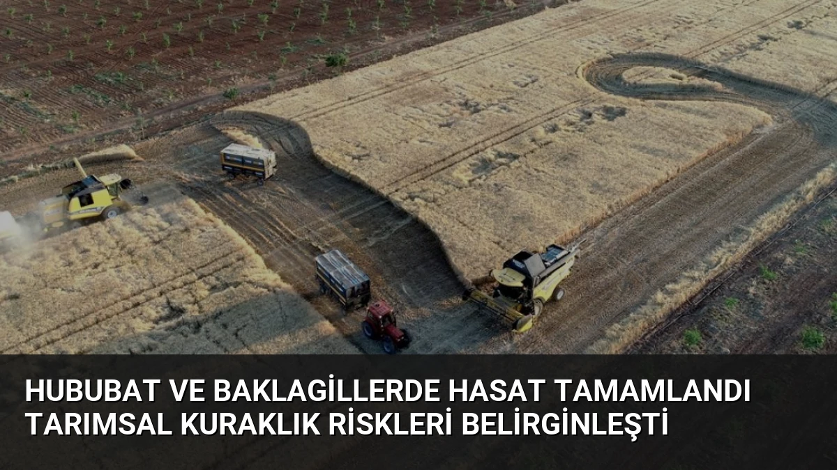 Hububat ve Baklagillerde Hasat Tamamlandı Tarımsal Kuraklık Riskleri Belirginleşti