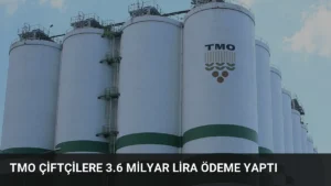 TMO Çiftçilere 3.6 Milyar Lira Ödeme Yaptı