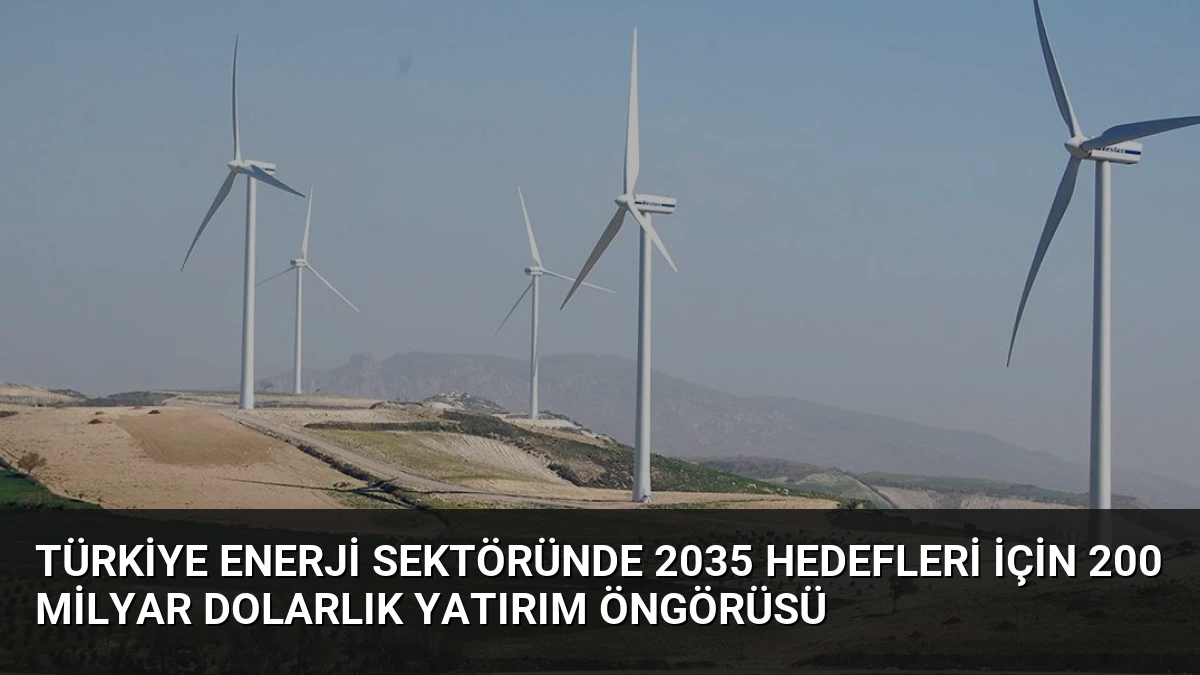 Türkiye Enerji Sektöründe 2035 Hedefleri İçin 200 Milyar Dolarlık Yatırım Öngörüsü