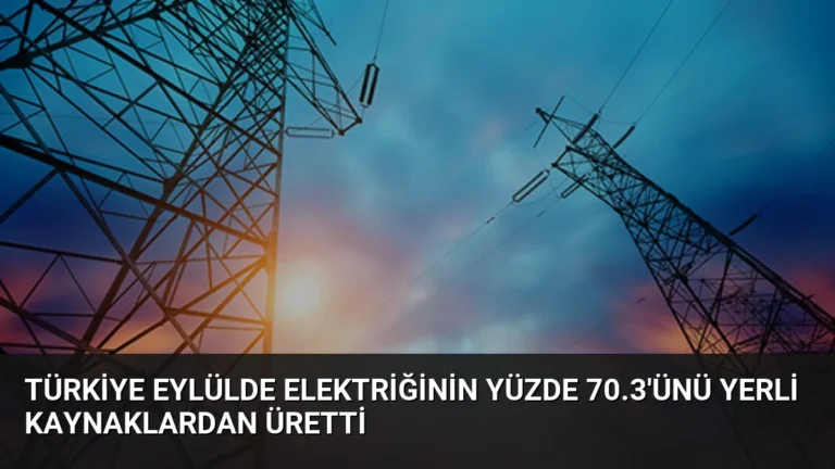 Türkiye Eylülde Elektriğinin Yüzde 70.3’ünü Yerli Kaynaklardan Üretti