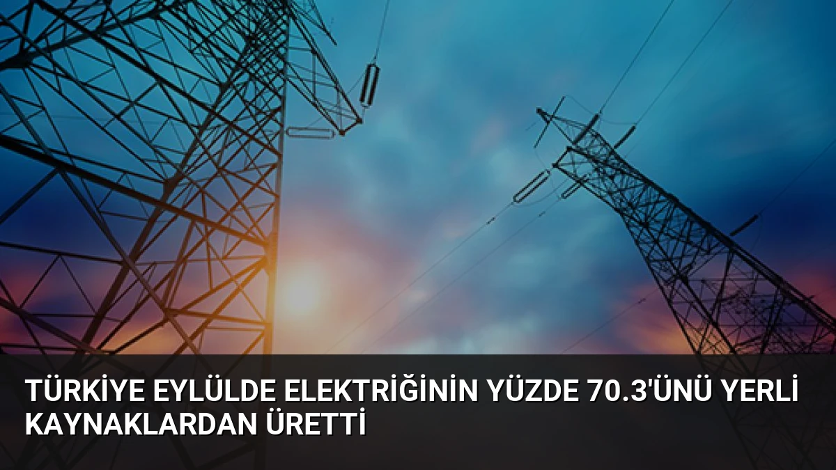 Türkiye Eylülde Elektriğinin Yüzde 70.3’ünü Yerli Kaynaklardan Üretti